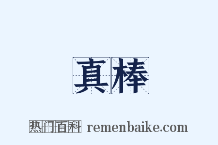 真棒是什么意思的图片